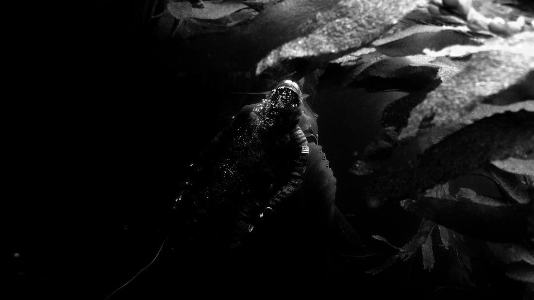 Black and white underwater photo of a scuba diver surrounded by seaweed in dark ocean depths