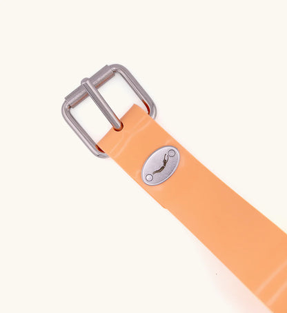 Sunset Dive Belt